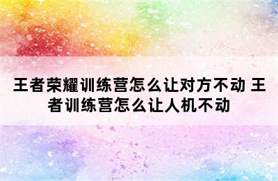 王者荣耀训练营怎么让对方不动 王者训练营怎么让人机不动